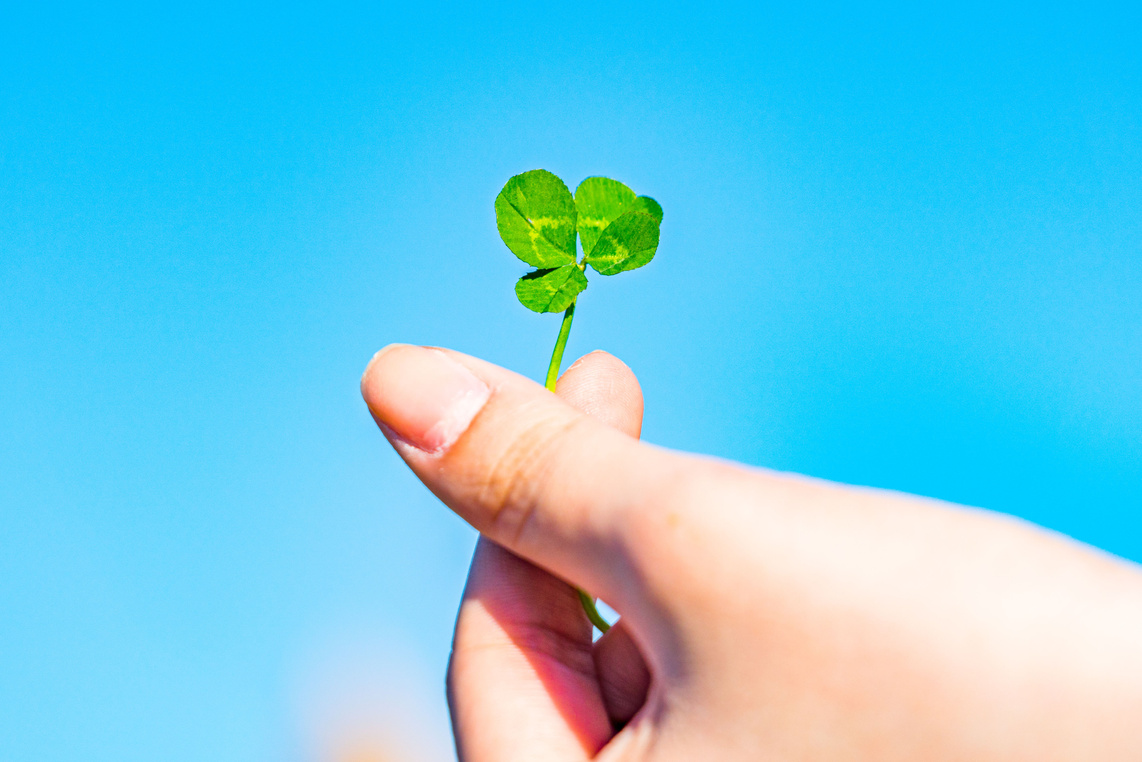 Woman's hand holding a four-leaf clover